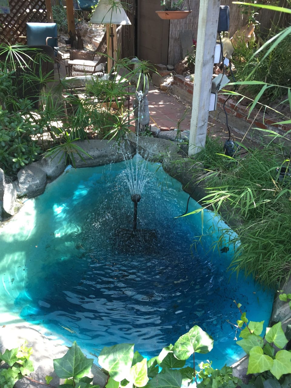 Pond