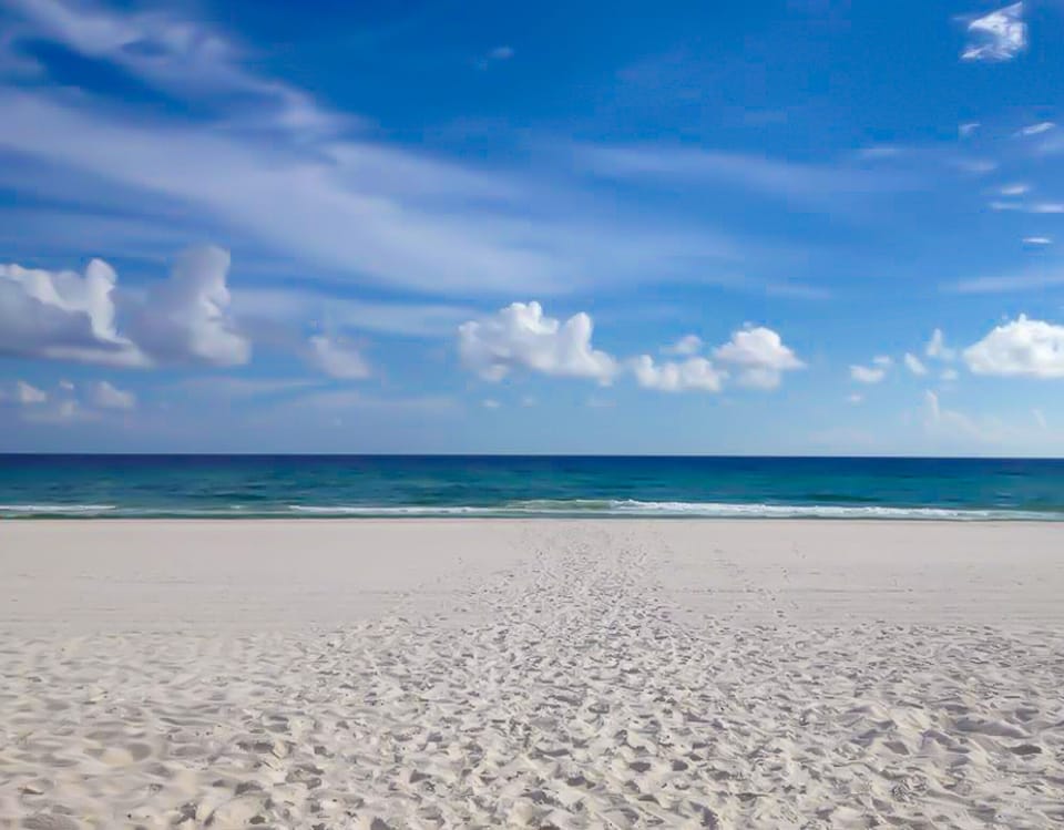 You could be here!