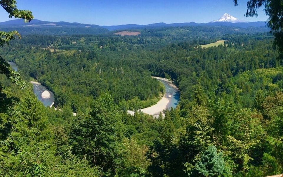 View from the back deck of the Lodge