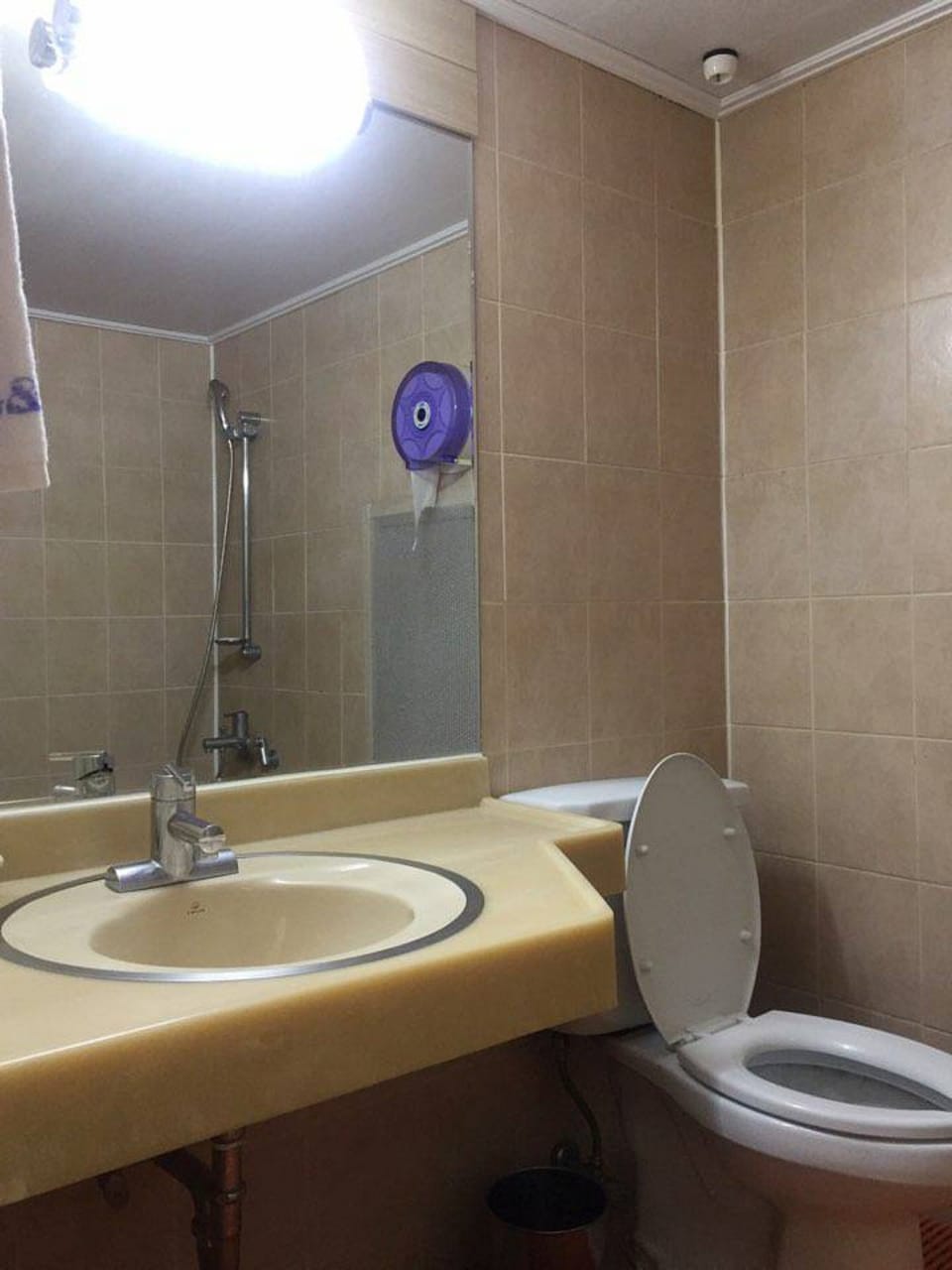 Combined shower/tub, deep soaking tub, free toiletries, towels