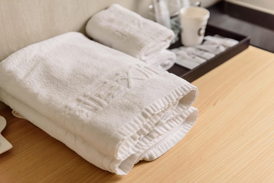 Free toiletries, hair dryer, slippers, towels