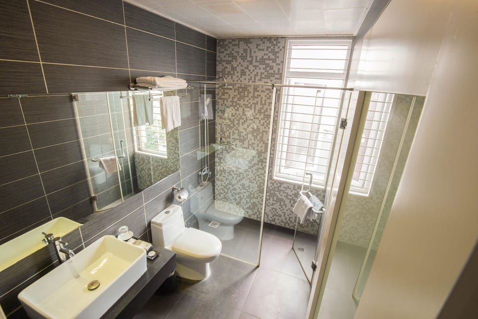 Deluxe Double Room | Bathroom | Shower, free toiletries, hair dryer, slippers