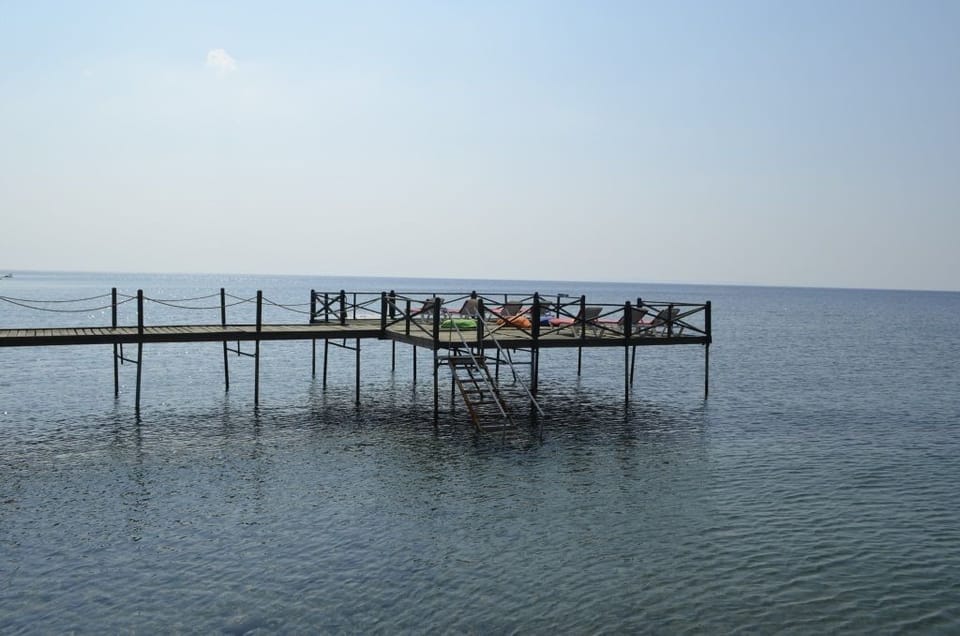 Dock