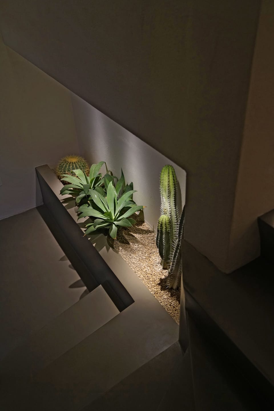 Deluxe Suite | Room amenity
