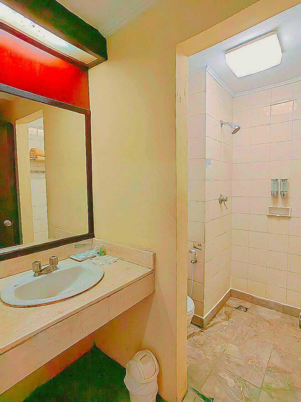 Shower, free toiletries, slippers, towels