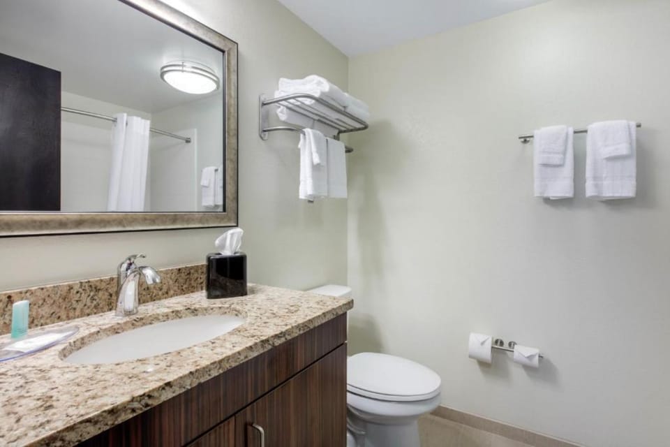 Suite, 1 King Bed, Non Smoking | Bathroom | Combined shower/tub, free toiletries, hair dryer, towels