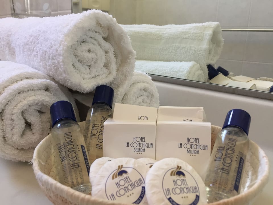 Shower, free toiletries, hair dryer, bidet