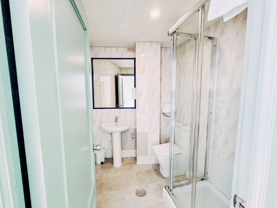 Hair dryer, bidet, towels