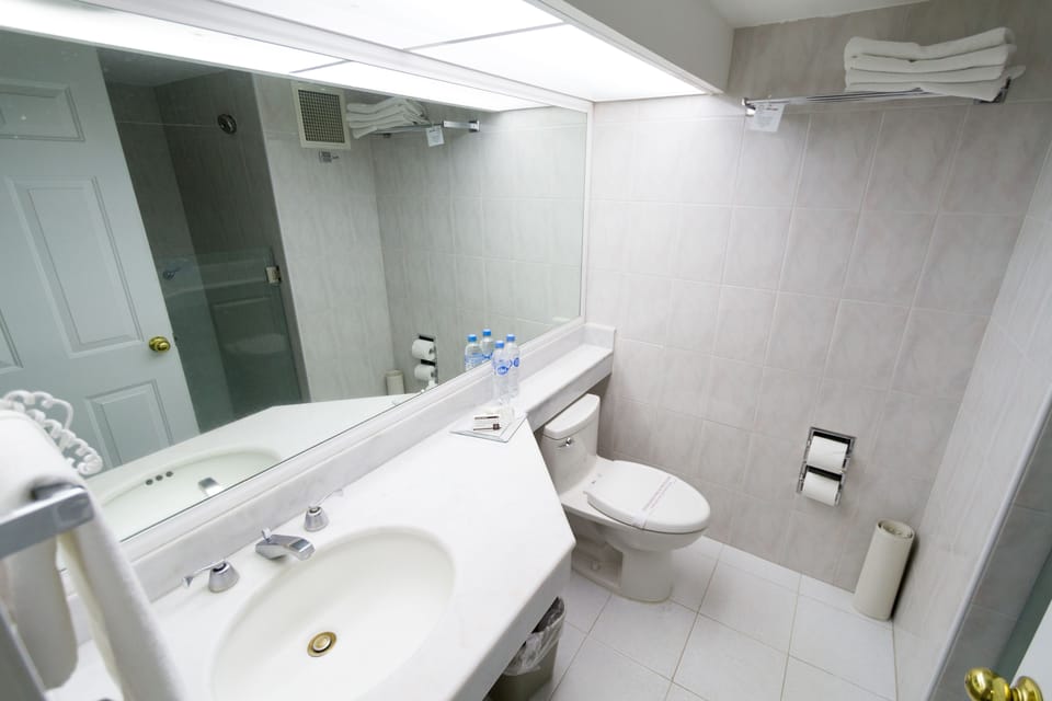 Shower, rainfall showerhead, free toiletries, hair dryer