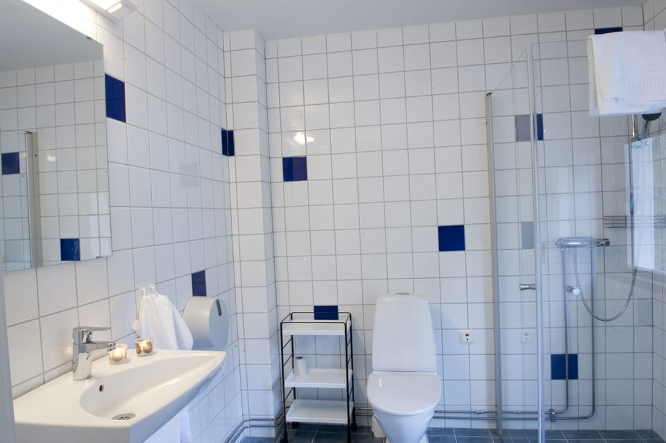 Shower, hair dryer (on request), towels, soap