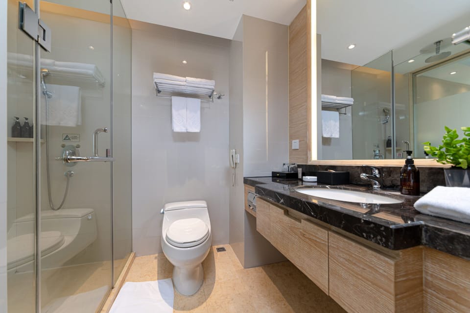 Business Double Room | Bathroom | Free toiletries, hair dryer, bathrobes, slippers