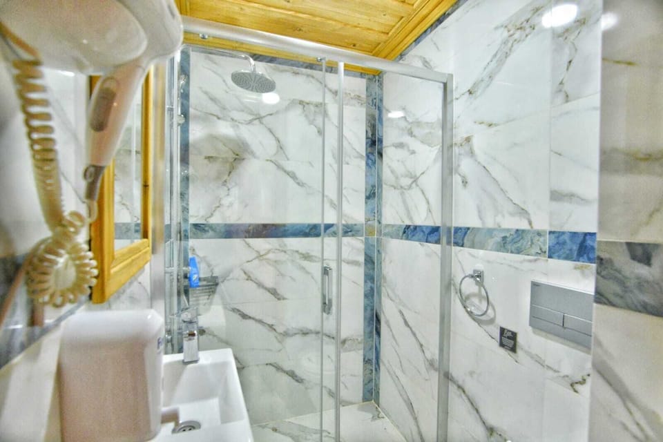 Shower, hair dryer (on request), bathrobes, slippers