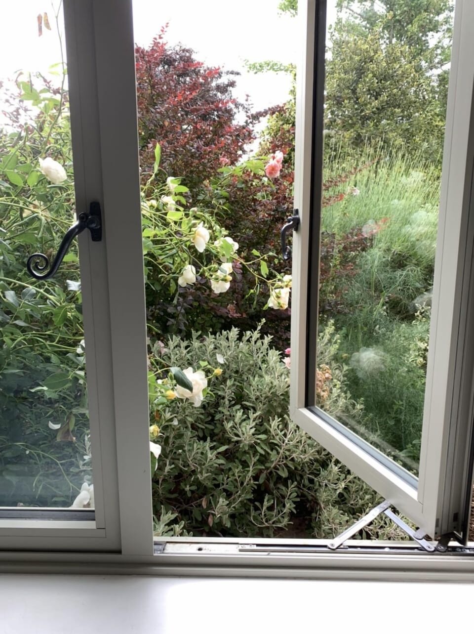 View from the downstairs bedroom.