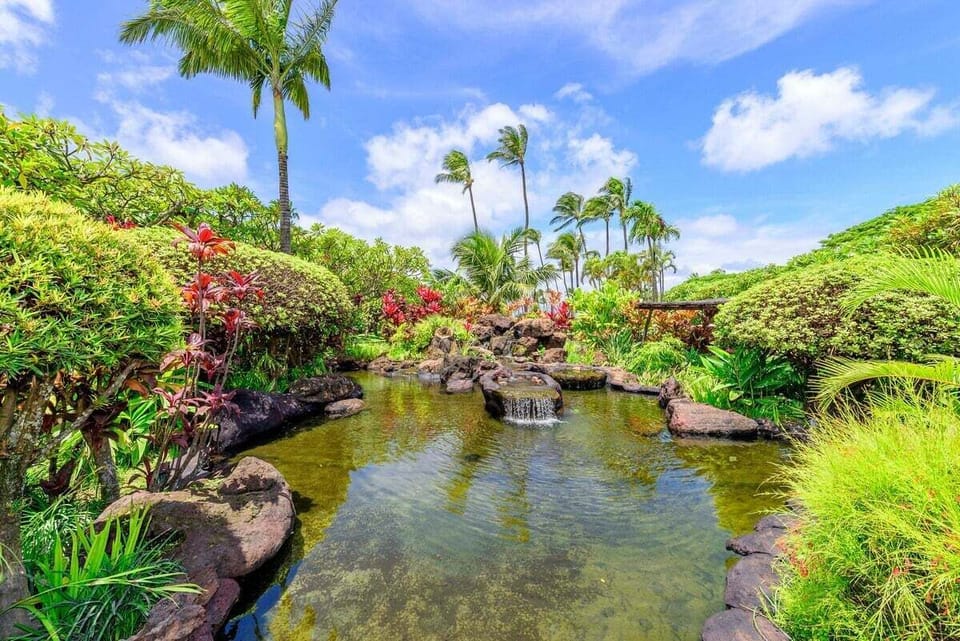 A relaxing tropical garden scene featuring a koi pond and well‑kept resort grounds.