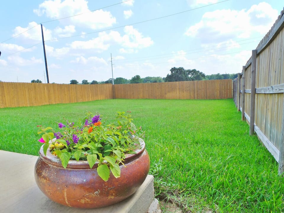 Large Backyard