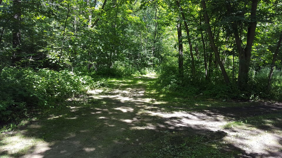 Enter a trail as you step out of the front door of the bungalow