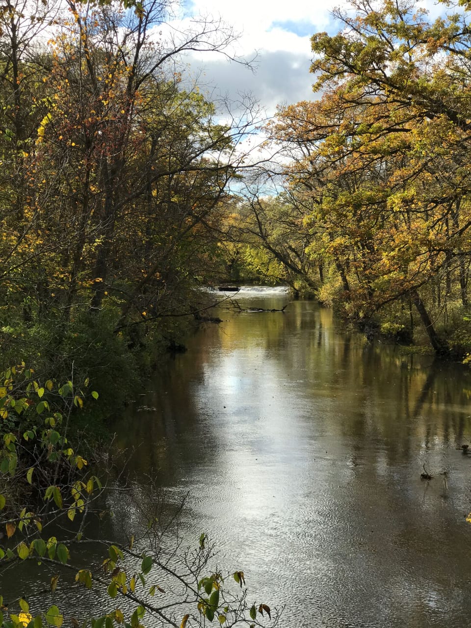 Beauty of the Root River jut a few hundred yards from the front door