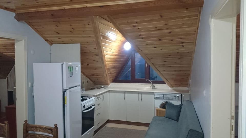 Apartment, 2 Bedrooms, Mountain View | Private kitchenette | Full-size fridge, oven, stovetop, coffee/tea maker