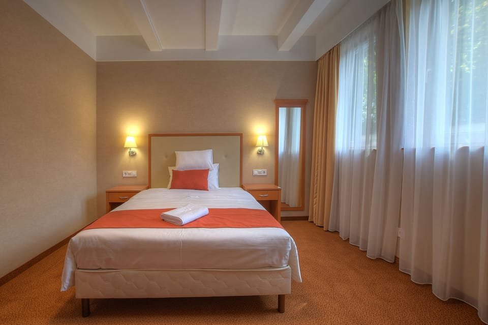Standard Double Room, 1 Queen Bed | Minibar, in-room safe, desk, soundproofing