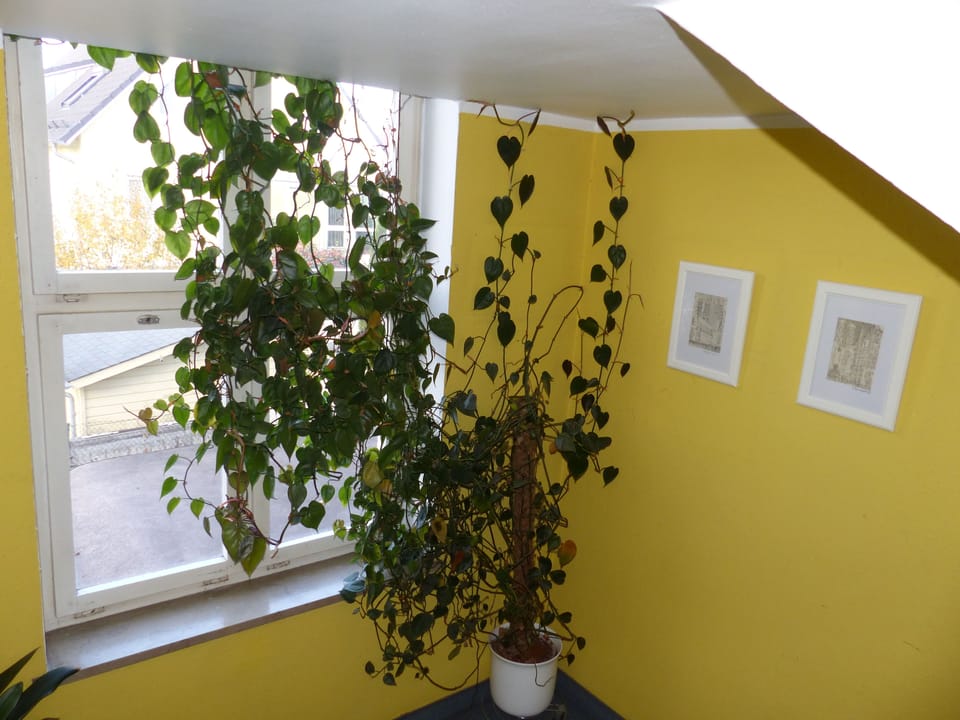 Hotel Pension Köberl Bed and Breakfast in Munich
