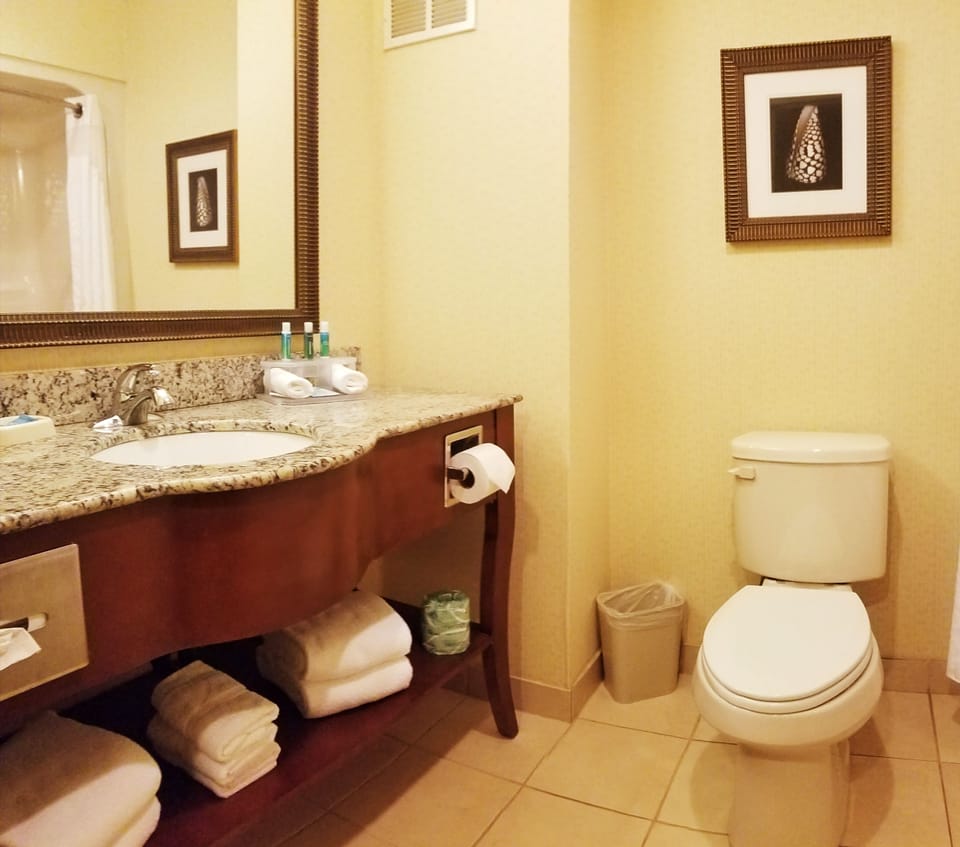 Combined shower/tub, free toiletries, hair dryer, towels