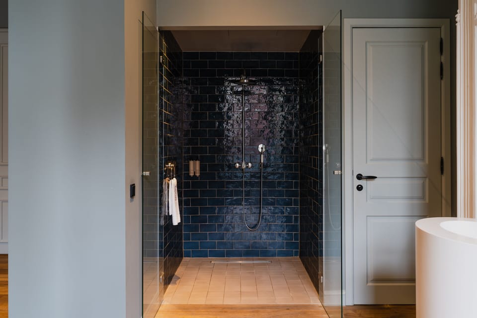 Suite | Bathroom | Shower, free toiletries, hair dryer, towels