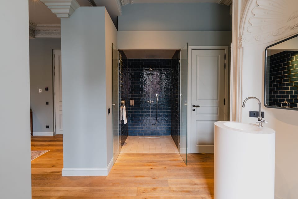 Suite | Bathroom | Shower, free toiletries, hair dryer, towels