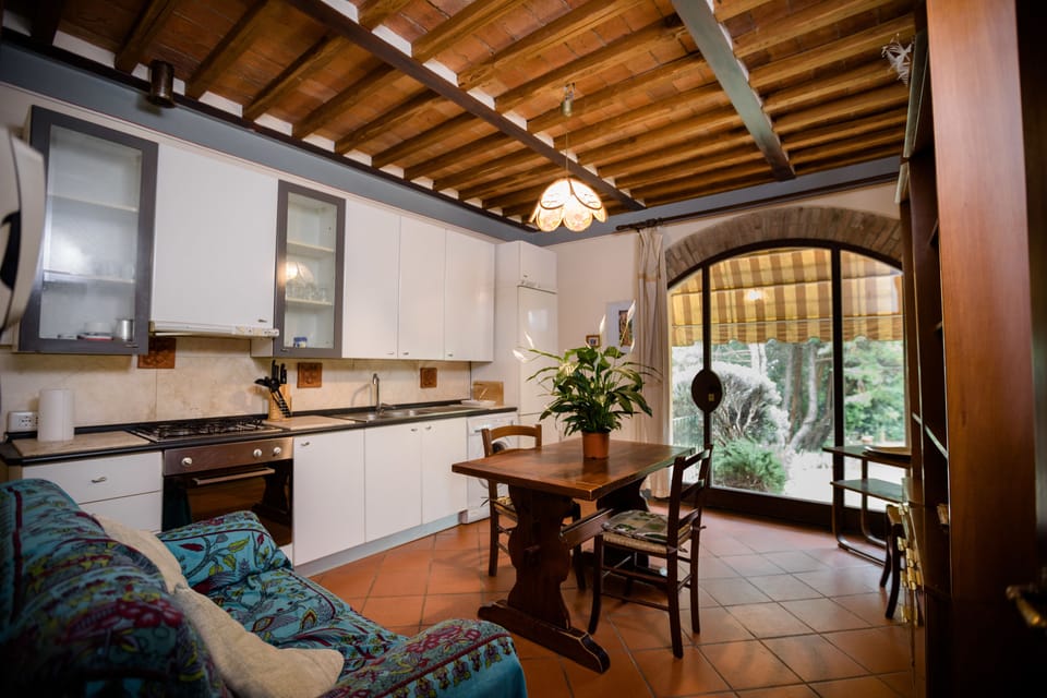Classic Apartment, 1 Queen Bed with Sofa bed, Kitchen, Garden Area | Private kitchen