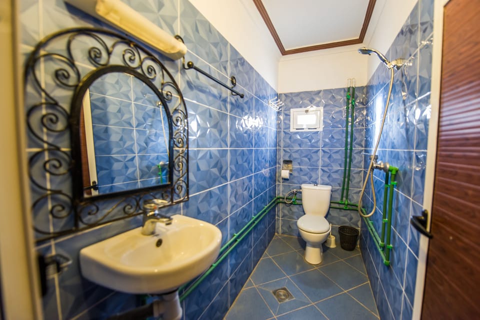 Shower, free toiletries, hair dryer (on request), towels