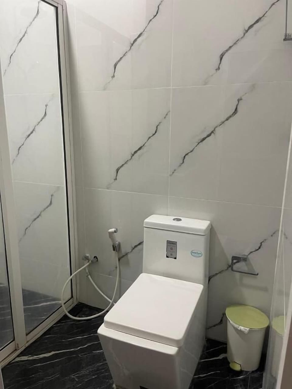Shower, rainfall showerhead, bidet, towels