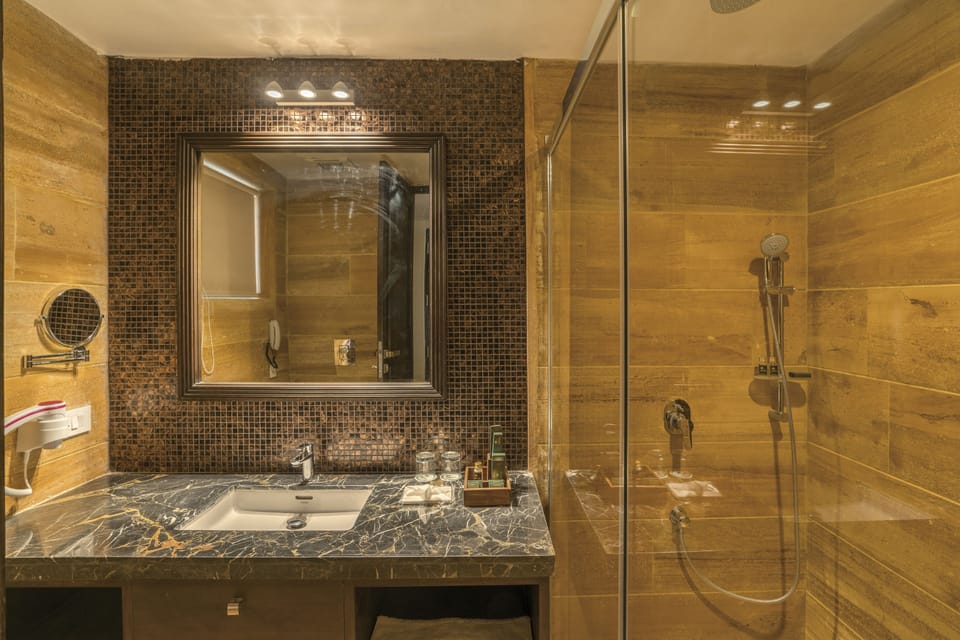 Deluxe Room | Bathroom | Separate tub and shower, free toiletries, hair dryer, bathrobes