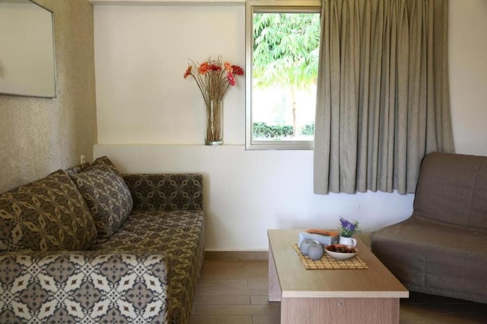 Suite | Living area | Flat-screen TV