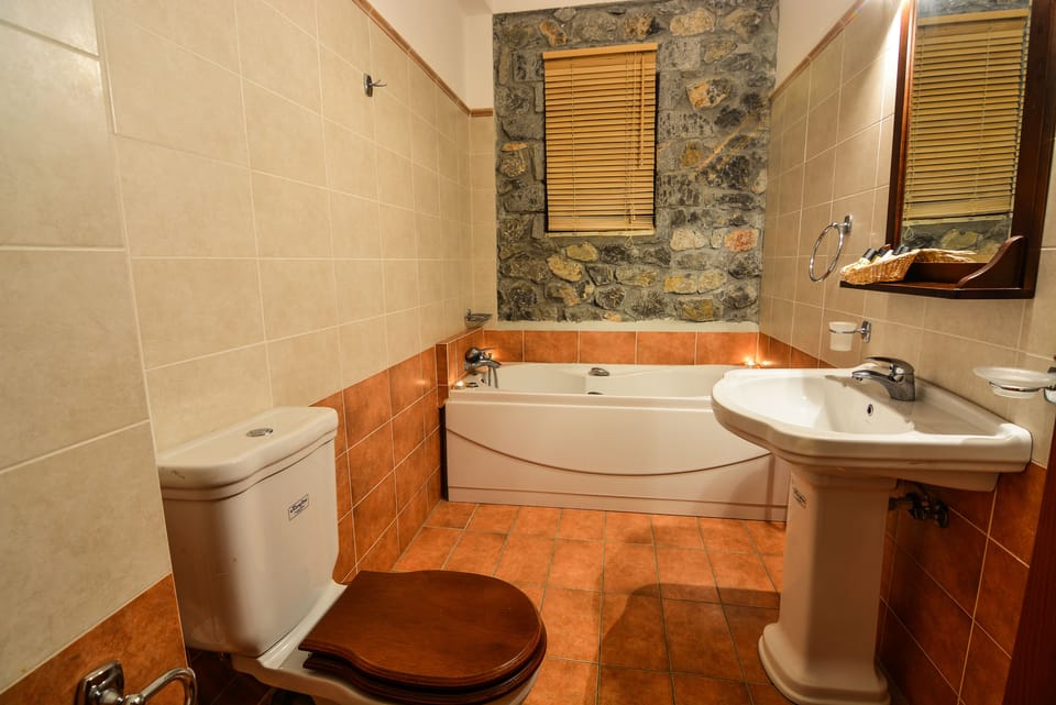 Combined shower/tub, free toiletries, hair dryer, slippers
