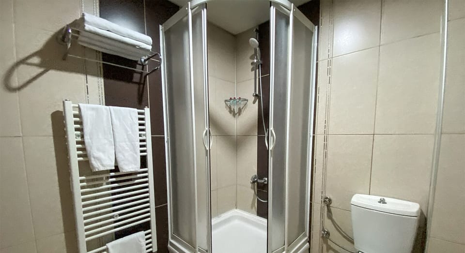 Suite | Bathroom | Shower, hydromassage showerhead, free toiletries, hair dryer