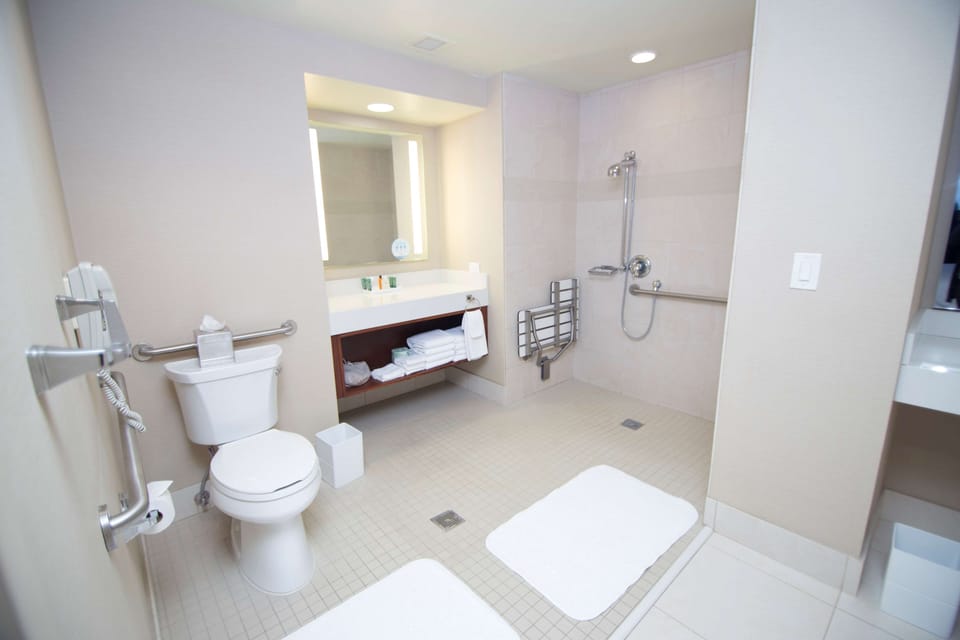 Executive Suite, 1 King Bed, Accessible, Non Smoking (Roll-In Shower) | Bathroom shower