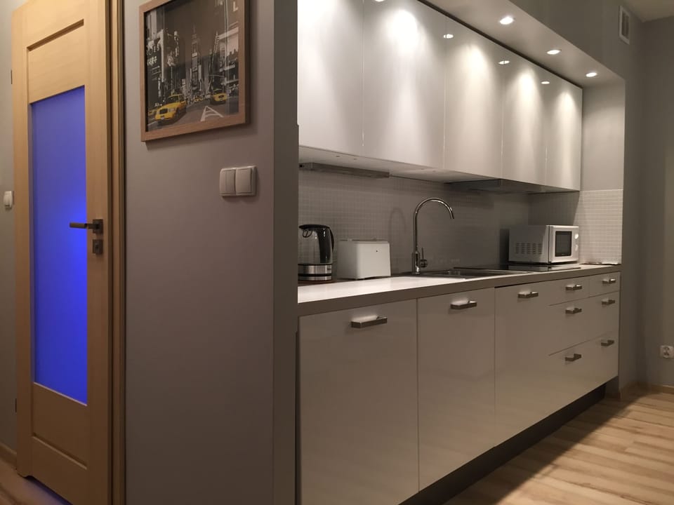 City Studio Suite | Private kitchenette | Fridge, microwave, stovetop, dishwasher
