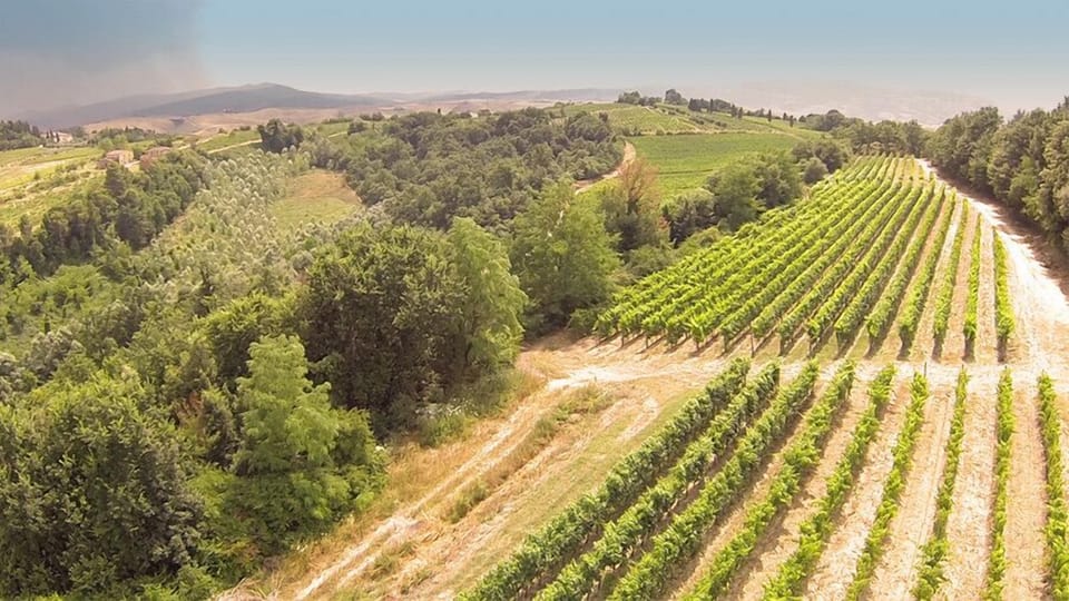Winery