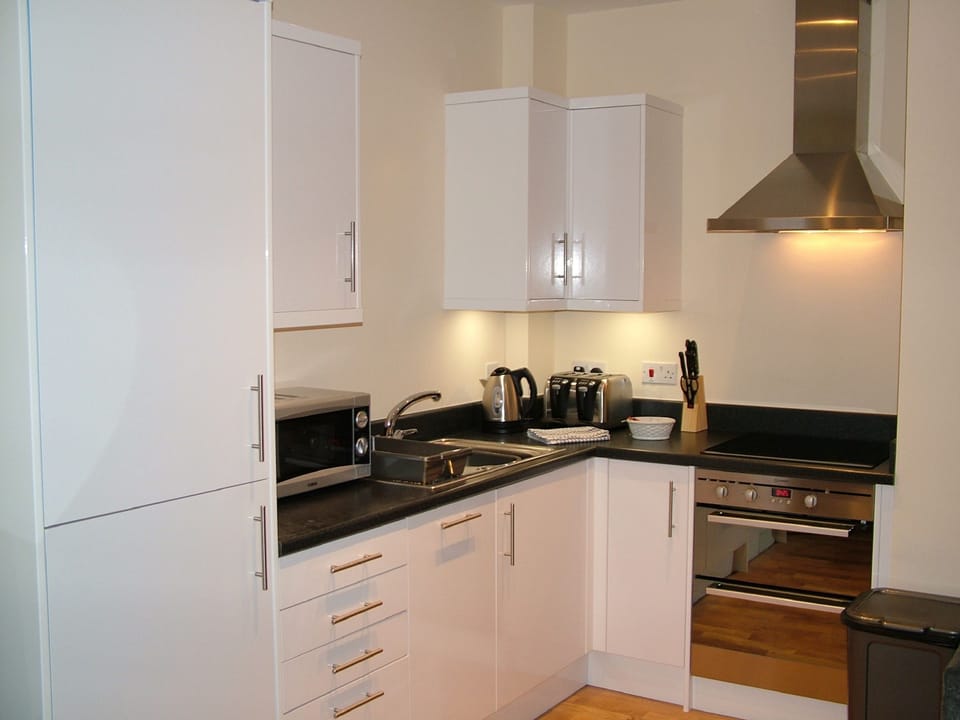 Business Apartment, 1 Bedroom | Private kitchen | Full-size fridge, microwave, oven, stovetop