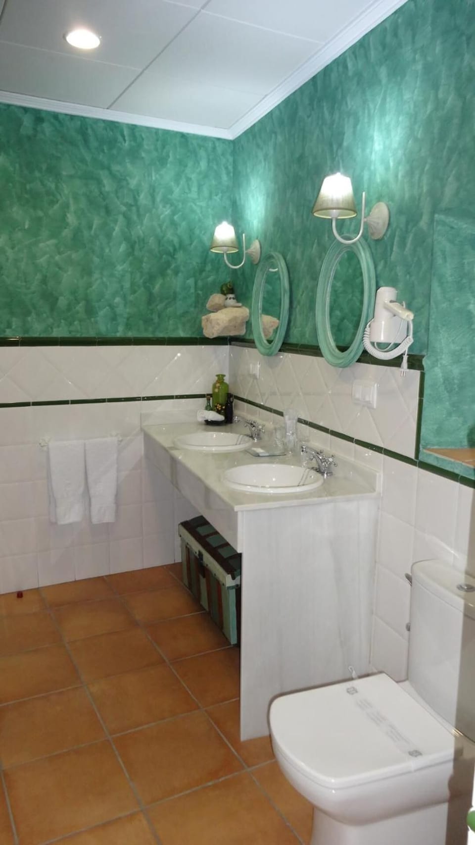 Hydromassage showerhead, designer toiletries, hair dryer, bidet