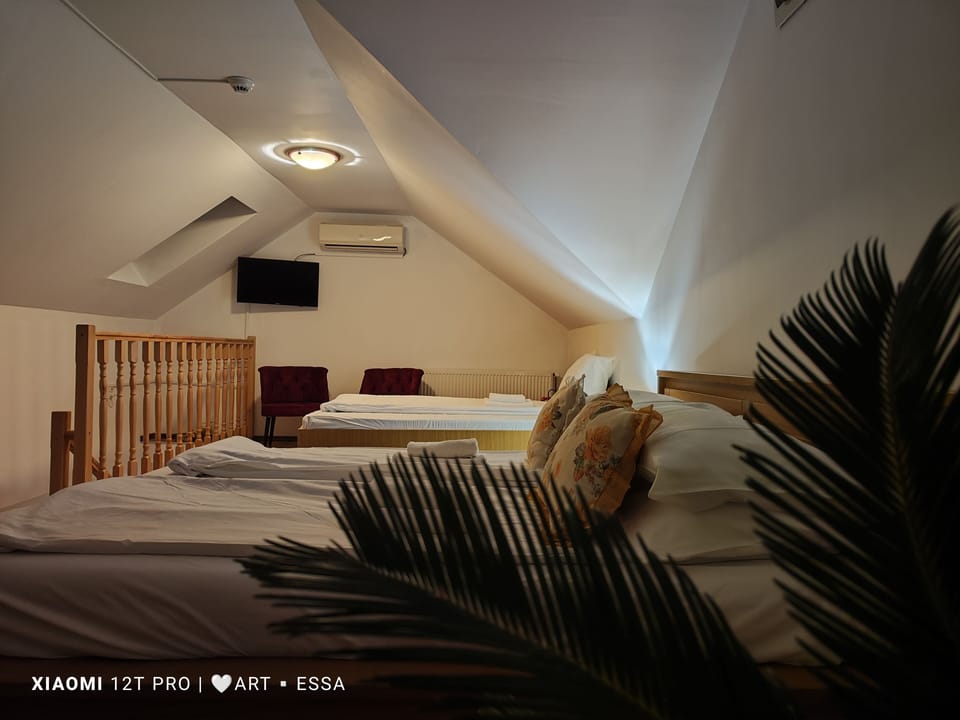 Junior Suite, Terrace | Desk, free WiFi, bed sheets