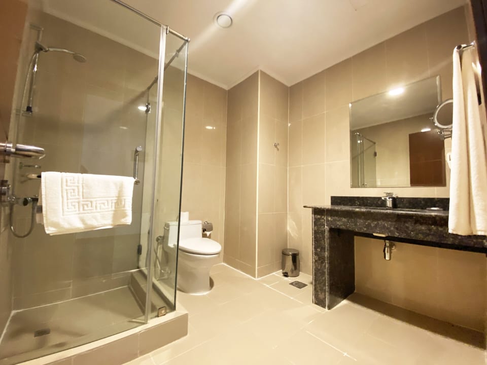 Deluxe Room | Bathroom | Shower, free toiletries, hair dryer, bathrobes