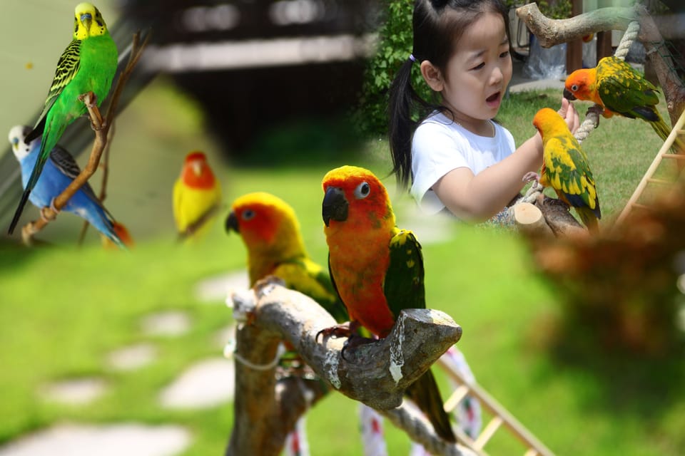 Children's activities