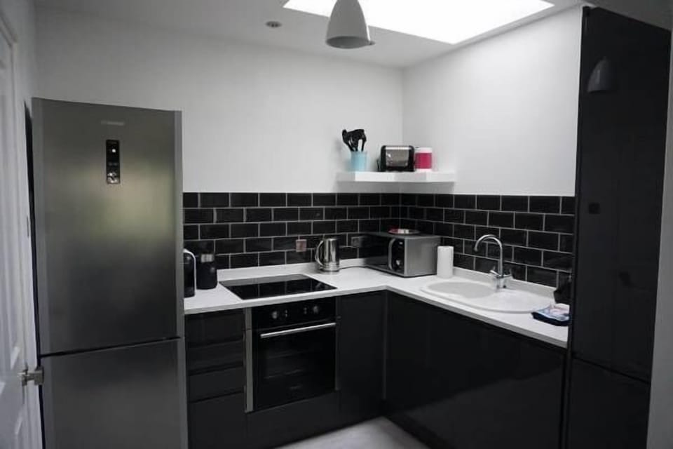 Superior Apartment, 1 King Bed | Private kitchen | Full-size fridge, microwave, oven, stovetop