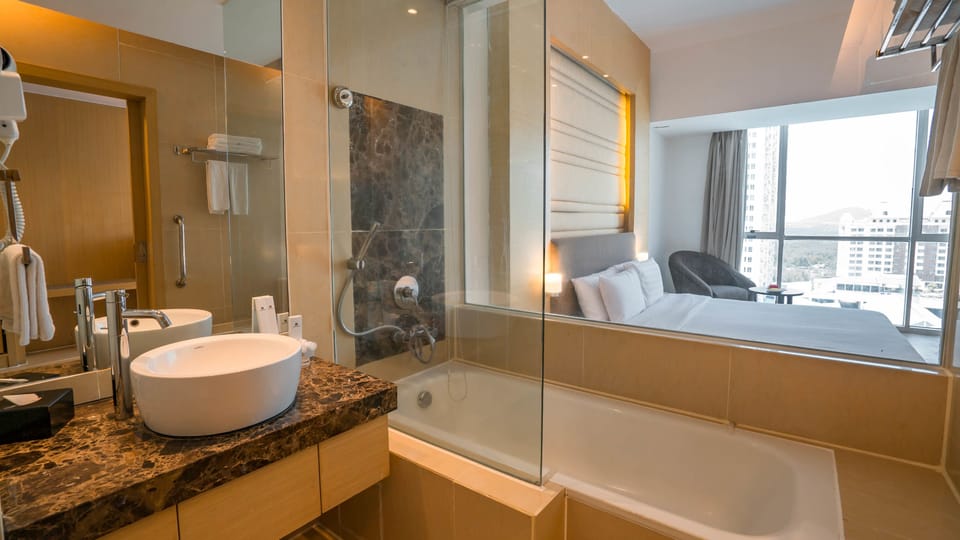Combined shower/tub, hair dryer, bidet, towels