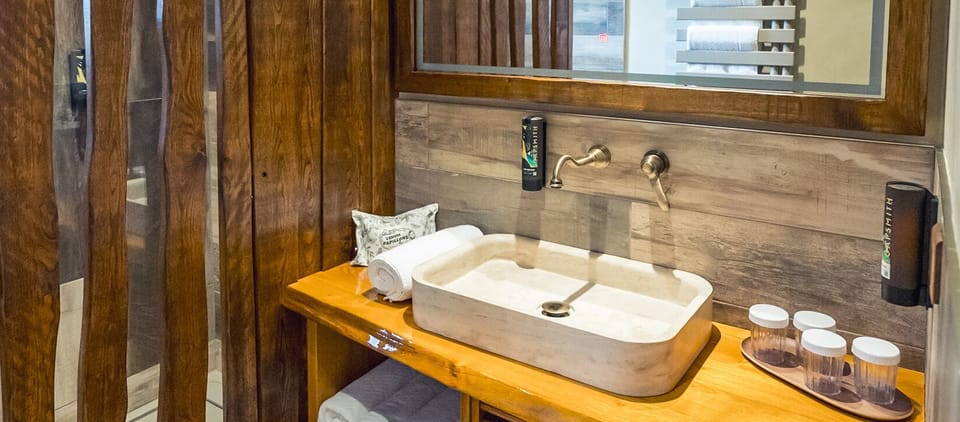 Hair dryer, towels, soap, shampoo