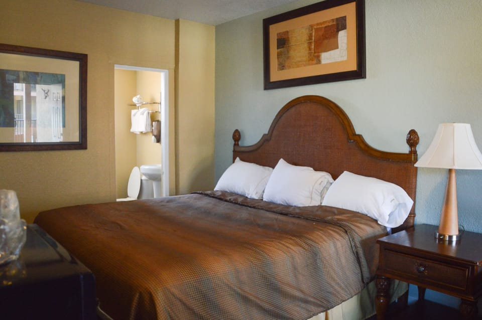 Standard Room, 1 King Bed, Non Smoking | WiFi (free), bed sheets