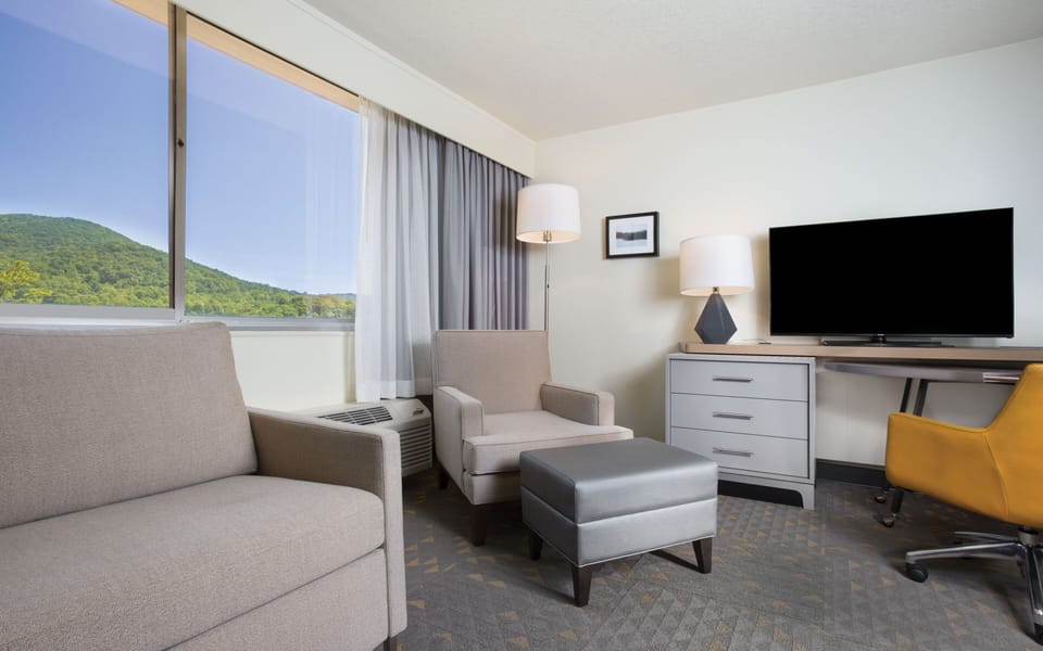 Premium Room, 1 King Bed, Mountain View | Hypo-allergenic bedding, desk, laptop workspace, blackout drapes