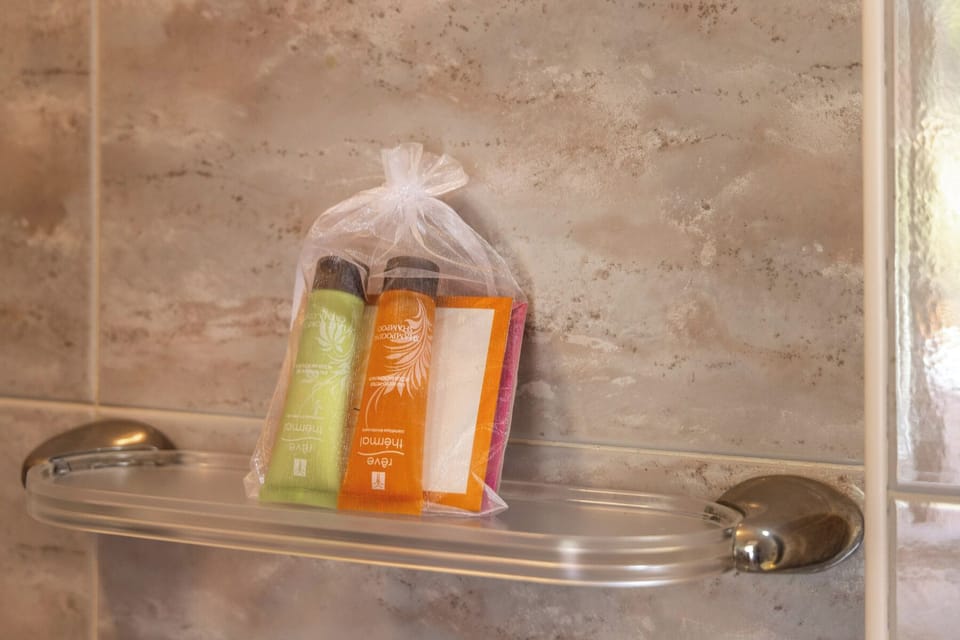 Standard Double Room | Bathroom | Shower, free toiletries, hair dryer, bidet