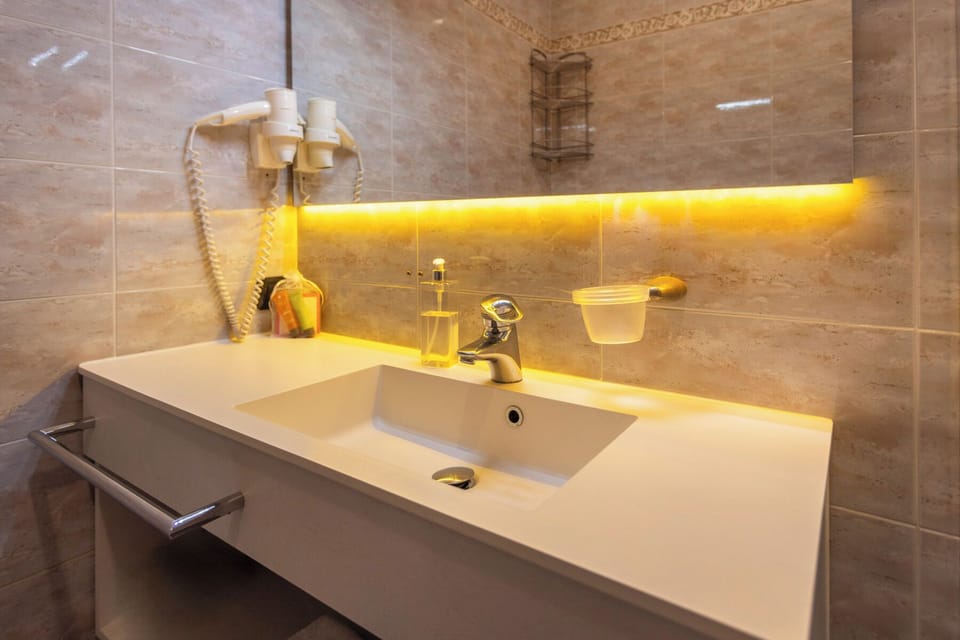 Family Room | Bathroom | Shower, free toiletries, hair dryer, bidet