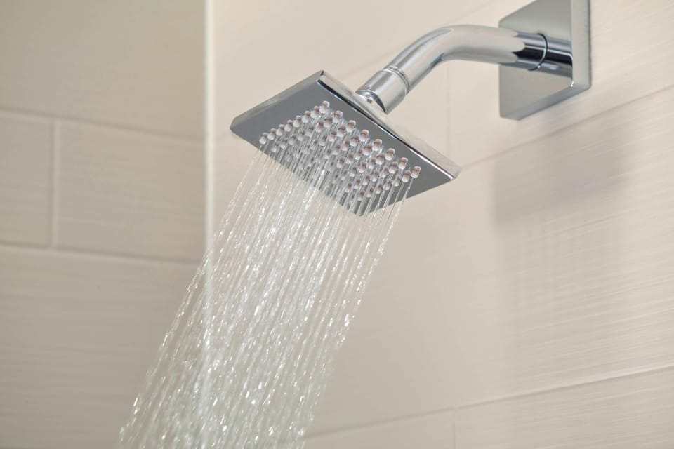 Hair dryer, towels, shampoo, toilet paper